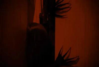And the light goes out poster4