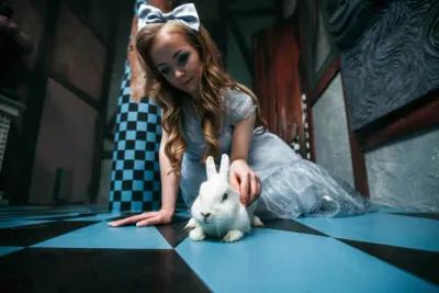 Alice in Wonderland poster4