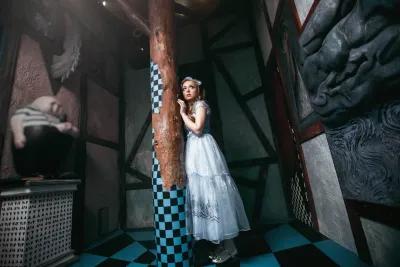 Alice in Wonderland poster5