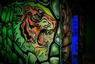 Laser tag "Jungle" poster3