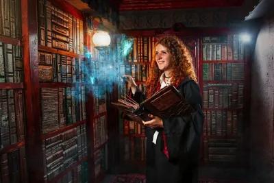 Harry. School of Magic poster1