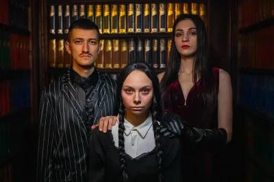 The Addams Family poster5