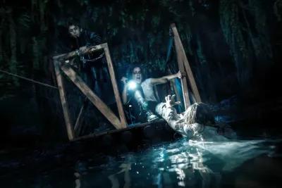 Swamp poster3