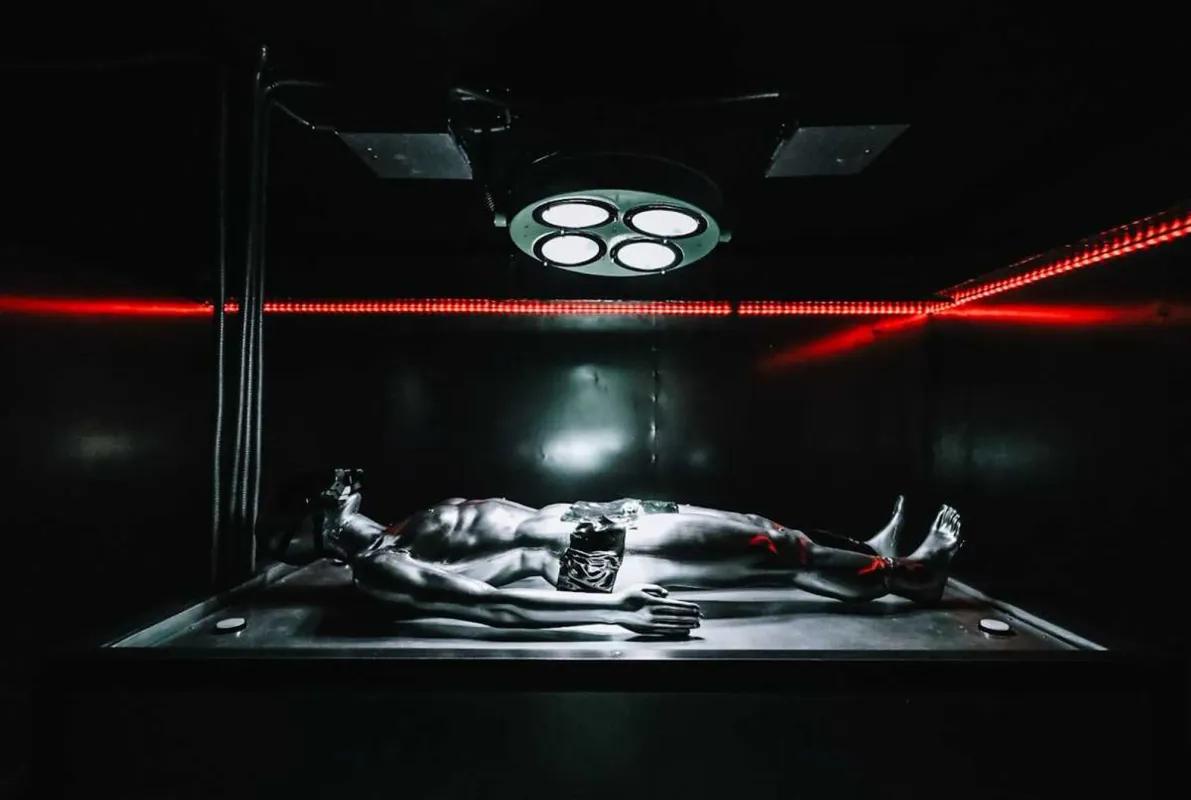 Killer cyborg