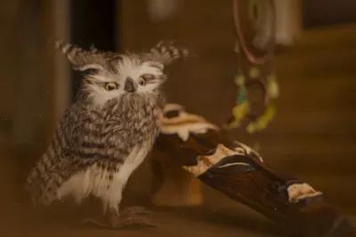 Расплата poster6