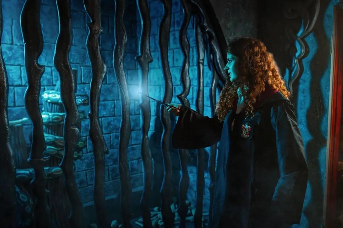 Harry. School of Magic
